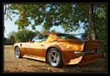Pontiac Formula 400 71 - 8